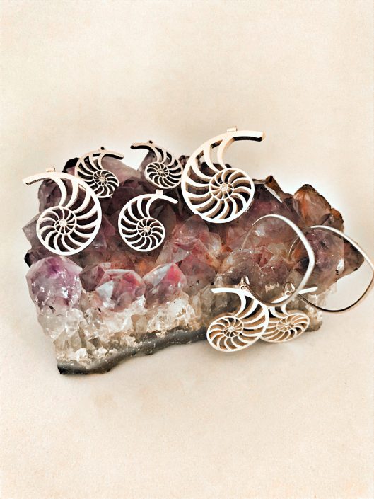 FoSsil